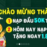 Các Loại Khuyến Mãi Thường Được Các Nhà Cái Áp Dụng 