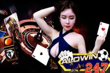 Alowin247 – Thương Hiệu Giải Trí Chuyên Nghiệp Được Săn Đón